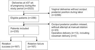 Image result for Manual Rotation in Occipitoposterior Presentation