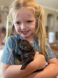 Red Creek Kennels of Texas...