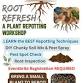 Root Refresh! A Plant Repotting Workshop