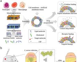 nanovesicles skin delivery system biomimetic, generada por IA