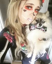 North Herts supermarket worker starts fabulous online fancy dress dog show  to raise funds for charity: Gallery