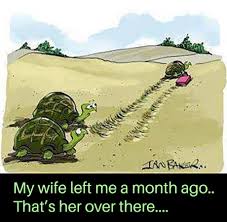 Your Ex Is Posting Passive Aggressive Memes Again 9gag