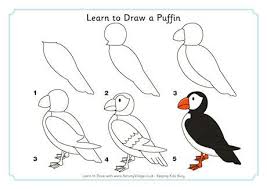 Learn To Draw A Puffin Drawings Learn To Draw Puffin The large plate explains the construction of an ellipse. learn to draw a puffin drawings