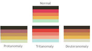 Most people who are colorblind lead normal and complete lives. Testing Color Vision