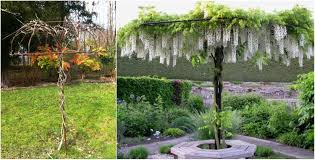 Rankhilfe Fur Blauregen Bringt Die Pflanze Richtig Zur Geltung Im Garten Pergola Bogen Blauregenkletterpflanze Glyzini Garden Arch Cheap Home Decor Pergola