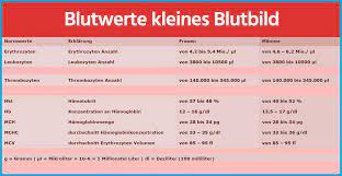 Einfach gesagt handelt es sich um eine genaue untersuchung. á Kleines Blutbild Alle Erklarungen Was Diese Werte Bedeuten