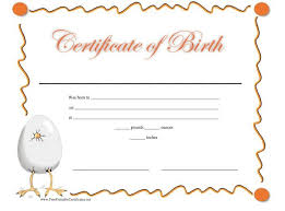 A fake divorce certificate and fake marriage certificate are especially helpful if you don't have immediate access to an official copy. 15 Birth Certificate Templates Word Pdf Template Lab Birth Certificate Template Certificate Templates Birth Certificate