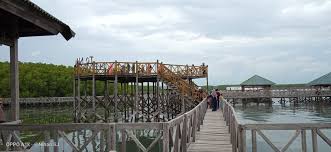 Inilah kepiting paling besar yang pernah ditangkap oleh kedua anak ini. Hutan Mangrove Tongke Tongke Jadi Penyumbang Pad Terbesar Di Sinjai Capai 130 Juta Suara Jelata