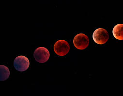 Heute sprechen wir über den blutmond am 26.5. Pinken Mond Verpasst Diese Bunten Monde Erwarten Dich In Den Nachsten Wochen Wmn