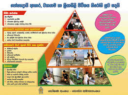 Welcome To Ministry Of Health Sri Lanka