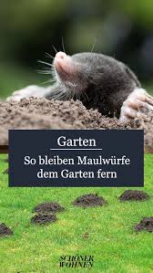 Pin Auf Garten Terrasse