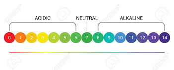 Ph Scale Indicator Chart Diagram Acidic Alkaline Measure Ph