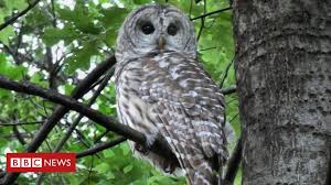 Find more attractions near our central park manhattan hotel. E91ov5n5z7uslm