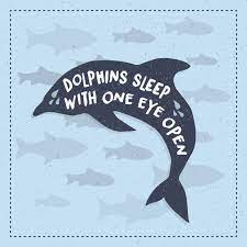Did You Know Dolphins Sleep With One Eye Open At A Time So They Can Rest One Half Of Their Brain While The Other Remains Eye Facts Optometry Optometry Humor