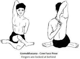 Health Benefits Of Gomukhasana The Cow Face Pose