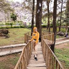 Tips berlibur di salsabila kuningan. Harga Tiket Masuk Dan Alamat Woodland Kuningan Destinasi Wisata Dengan Suguhan View Pinus Daka Tour