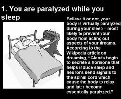 10 Interesting Facts About Dreams Interesting Facts About Dreams Facts About Dreams Psychology Facts