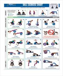 Comprehensive Exercise Ball Chart Pdf 10 Fun Moves To