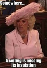 Camilla Was Compared To Ceiling Insulation Photo Grumpy Old Folk Funny Memes About Girls Make Me Laugh Hilarious