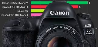 As Cameras Do World Press Photo 2019 Resumo Fotografico