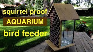 You can use a variety of food in your squirrel feeder that will be a lot less expensive than bird seed such as corn and peanuts. How To Make A Squirrel Proof Bird Feeder From An Aquarium Youtube