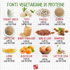 Alimenti appartenenti al gruppo delle proteine. Fonti Vegetariane Di Proteine Alimenti Ricchi Di Proteine Cibo Alimenti