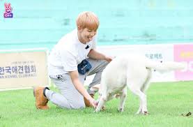 Namjoon Foto Lucu Lucu