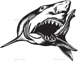 Black And White Shark Pictures Aggressive Shark Shark Illustration Shark Drawing Shark Silhouette