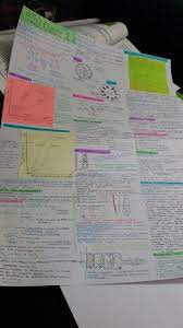 Final As Biology Poster Before This Exam Biology Poster School Exam