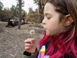 Joyce Vela's Instagram, Twitter & Facebook