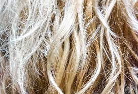 Best for platinum blonde hair: Many Natural Blonde Vertical Curls Real Woman Hair Texture Stock Photo Picture And Royalty Free Image Image 82695934