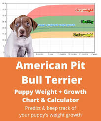 Purina pro plan sport for pitbull puppy. American Pit Bull Terrier Weight Growth Chart 2021 How Heavy Will My American Pit Bull Terrier Weigh The Goody Pet