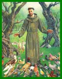 Reflections From Bon Bon Pond Thoughts For The Work Week Ahead Patron Saint Of Animals Patron Saints St Francis