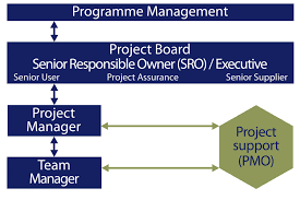 Finance department organisational structure (193.48 kb pdf). Role Of The Programme And Project Management Offices Department Of Finance