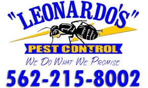 We offer a 100% service guarantee for all of our clients in long beach, california. Pest Control In Long Beach Ca Leonardo S Pest Control 1 Review