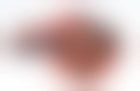 Диагностическая лапароскопия: эффективный метод диагностики заболеваний селезенки у собак