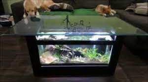 This coffee table aquarium tank is manufactured in the united states of america. How I Made It Break Down Of My Coffee Table Aquarium Youtube