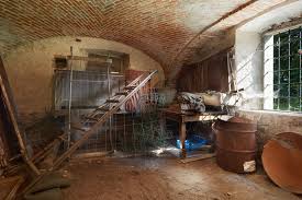 They also harbor mold and mildew, creating a hazardous environment for your home and family, tainting air quality and possibly causing structural damage. How To Find Leaks In Damp Basement Walls Tapco Homedry