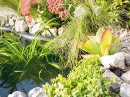 Gräser tragen filigrane transparenz in die kreative vorgartengestaltung. Farne Ziergraser Und Schilf Fur Den Garten Obi
