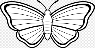 Check spelling or type a new query. Drawing Butterfly Png Images Pngwing