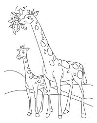 Baby Giraffe Coloring Page Coloring Book Giraffe Coloring Pages Giraffe Colors Animal Coloring Pages