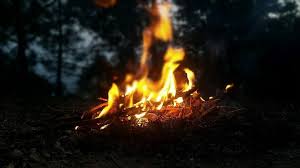 We did not find results for: How To Keep Mosquitoes Away From Your Campfire