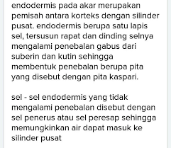 Pita kaspari merupakan pita/bubuk zat yang terletak di endodermis dan termasuk selnya. Jelaskan Struktur Endodermis Pada Akar Tumbuhan Esay Kak Tolong Cepat Karena Esok Di Kumpul Brainly Co Id