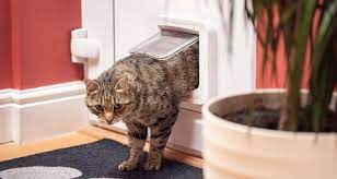 Cat Doors The Five Best For