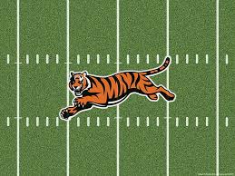 Wallpaper desktop cincinnati bengals hd. Cincinnati Bengals 1080p 2k 4k 5k Hd Wallpapers Free Download Wallpaper Flare