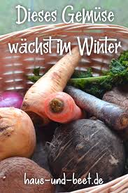 Frisches Regionales Gemuse Im Winter Ernten Haus Und Beet In 2020 Wintergemuse Anbauen Obst Und Gemuse Gemuse Anbauen
