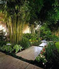 Bamboo is one of the most exotic plants present everywhere. Irregular Path Hi Low Plants Backyard Garden Landscape Bamboo Landscape Garden Landscape Design