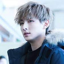 Who Rocks Gray Hair Kpop Male Edition Updated Grey Hair Kpop Kpop Hair Grey Hair Men