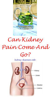 Best Fruit For Kidney Kidney Disease Awareness Kidney Transplant Chronic Kidney Disease Diet