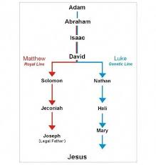 Earlychristianfellowship Org The Genealogy Of Jesus Christ